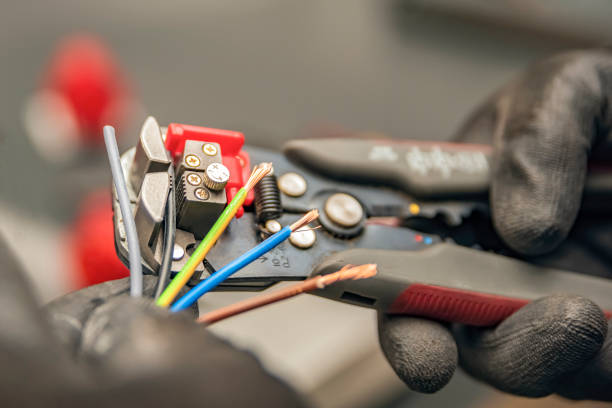 Best Electric Panel Repair  in Powers Lake, WI